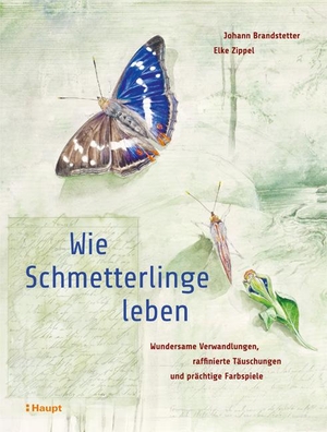 Brandstetter, Johann / Elke Zippel. Wie Schmetterlinge leben - Wundersame Verwandlungen, raffinierte Täuschungen und prächtige Farbspiele. Haupt Verlag AG, 2019.