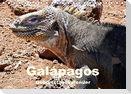 Galápagos Geburtstagskalender (Tischkalender immerwährend DIN A5 quer)