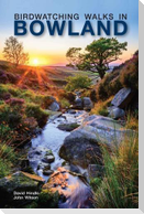 Birdwatching Walks in Bowland