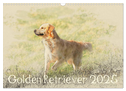 Golden Retriever 2025 (Wandkalender 2025 DIN A3 quer), CALVENDO Monatskalender