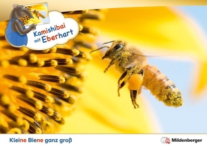 Brandau, Nicole / Stefanie Drecktrah. Kamishibai mit Eberhart - Kleine Biene ganz groß - Set - Erzähltheater-Karten mit (Vor-)Leseheft-Paket. Mildenberger Verlag GmbH, 2024.
