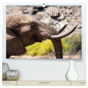 Jumbo Auf den Spuren der Elefanten in Namibia (hochwertiger Premium Wandkalender 2025 DIN A2 quer), Kunstdruck in Hochglanz