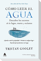 Como Leer El Agua