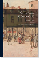 Chicago Commons: a Social Center for Civic Co-operation
