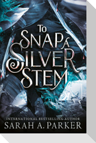 TO SNAP SILVER STEM EXAIIE PB