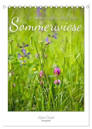 Dietzel, Karin. Ein Spaziergang über eine Sommerwiese (Tischkalender 2024 DIN A5 hoch), CALVENDO Monatskalender - Sommerwiesen sind Farbe, Licht, Leben. Calvendo Verlag, 2023.
