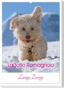 Lagotto Romagnolo - Lustige Zwerge (Wandkalender 2024 DIN A2 hoch), CALVENDO Monatskalender