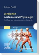 Lernkarten Anatomie und Physiologie