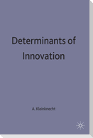 Determinants of Innovation