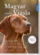 Magyar Vizsla