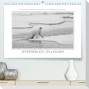 Emotionale Momente: Spitzbergen  Svalbard / CH-Version (Premium, hochwertiger DIN A2 Wandkalender 2022, Kunstdruck in Hochglanz)