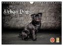 Urban Dogs - Hundekalender der anderen Art (Wandkalender 2024 DIN A4 quer), CALVENDO Monatskalender