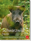 Schwarzwild heute