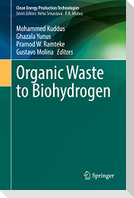 Organic Waste to Biohydrogen
