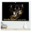 Australian Shepherd - Traum auf vier Pfoten (hochwertiger Premium Wandkalender 2025 DIN A2 quer), Kunstdruck in Hochglanz