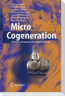 Micro Cogeneration