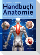 Handbuch Anatomie