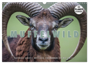 Emotionale Momente: Muffelwild. (Wandkalender 2024 DIN A3 quer), CALVENDO Monatskalender