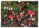 Pilze (Wandkalender 2024 DIN A4 quer), CALVENDO Monatskalender