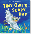 Tiny Owl's Scary Day