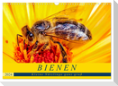 BIENEN - Kleine Nützlinge ganz groß (Wandkalender 2024 DIN A3 quer), CALVENDO Monatskalender