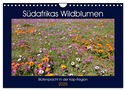 Südafrikas Wildblumen - Blütenpracht in der Kap-Region (Wandkalender 2025 DIN A4 quer), CALVENDO Monatskalender