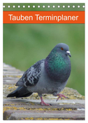 Tauben Terminplaner (Tischkalender 2024 DIN A5 hoch), CALVENDO Monatskalender