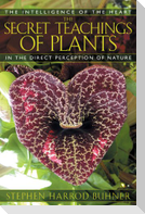 The Secret Teachings of Plants