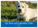 On Tour mit Labrador Yuki (Wandkalender 2025 DIN A4 quer), CALVENDO Monatskalender