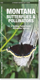 Montana Butterflies & Pollinators
