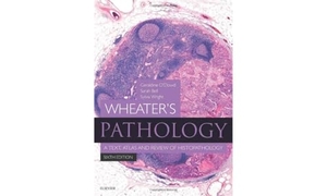 O'Dowd, Geraldine / Bell, Sarah et al. Wheater's Pathology: A Text, Atlas and Review of Histopathology. Elsevier Health Sciences, 2019.