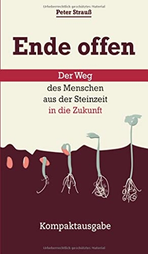 Strauß, Peter. Ende offen ¿ Der Weg des Menschen aus der Steinzeit in die Zukunft - Kompaktausgabe. tredition, 2021.