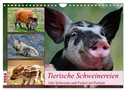Tierische Schweinereien (Wandkalender 2024 DIN A4 quer), CALVENDO Monatskalender