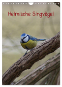 Heimische Singvögel (Wandkalender 2024 DIN A4 hoch), CALVENDO Monatskalender
