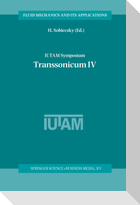 IUTAM Symposium Transsonicum IV