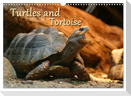 Turtles and Tortoise / UK-Version (Wall Calendar 2025 DIN A3 landscape), CALVENDO 12 Month Wall Calendar