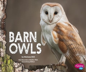 Hill, Melissa. Barn Owls. Capstone, 2015.