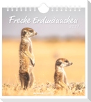 Freche Erdmännchen 2027