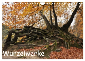Wurzelwerke (Wandkalender 2024 DIN A4 quer), CALVENDO Monatskalender - Impressionen aus dem Teutoburger Wald. Calvendo Verlag, 2023.