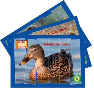 Rätselstreifen Ratespaß / Kamishibai Bildkarten - 3 Kartensätze für das Erzähltheater zum Vorteilspreis. Hase und Igel Verlag GmbH, 2026.