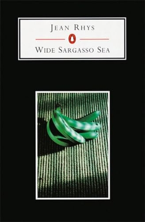 Rhys, Jean. Wide Sargasso Sea. Penguin Books Ltd (UK), 2001.