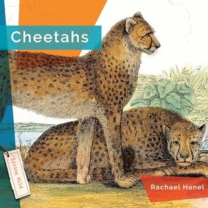 Hanel, Rachael. Cheetahs. Creative Company, 2023.