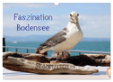 Faszination Bodensee (Wandkalender 2024 DIN A3 quer), CALVENDO Monatskalender