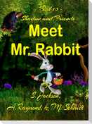 Shadow and Friends  Meet Mr. Rabbit