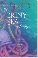 The Briny Sea of Poetry
