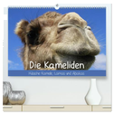 Die Kameliden. Hübsche Kamele, Lamas und Alpakas (hochwertiger Premium Wandkalender 2025 DIN A2 quer), Kunstdruck in Hochglanz