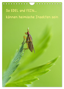 So EDEL und FEIN... können heimische Insekten sein (Wandkalender 2025 DIN A4 hoch), CALVENDO Monatskalender