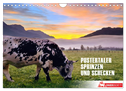 Pustertaler Sprinzen und Schecken in Österreich (Wandkalender 2024 DIN A4 quer), CALVENDO Monatskalender