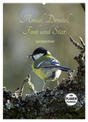 Amsel, Drossel, Fink und Star - beobachtet (Wandkalender 2024 DIN A2 hoch), CALVENDO Monatskalender