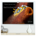Unterwasserwelt Nacktschnecken (hochwertiger Premium Wandkalender 2024 DIN A2 quer), Kunstdruck in Hochglanz
